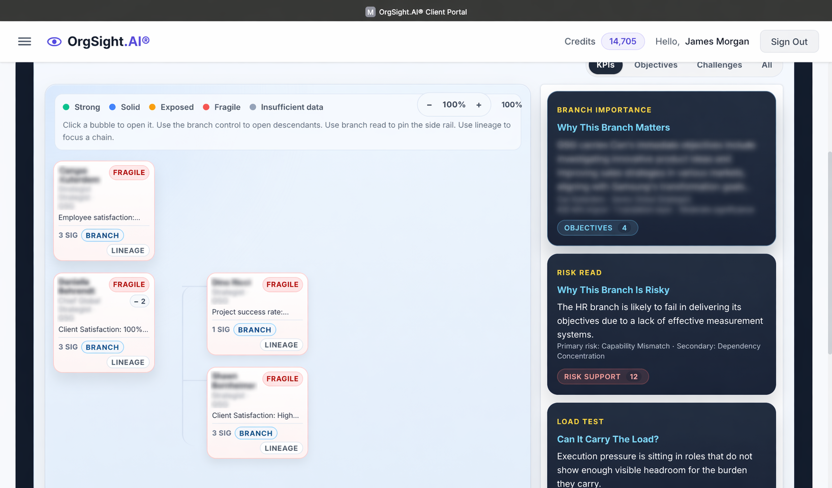 OrgSight branch analysis tree and risk reads